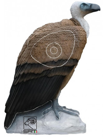 Vautour