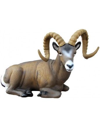 Mouflon couché