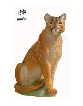 Puma été / hiver